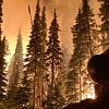 <span style="font-weight:bold;">UPDATE:</span> Hwy 95 closes south of Golden as wildfire jumps highway, evac orders issued