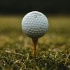 BC golfer loses vehicle going over twice speed limit trying to make tee time