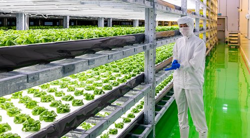 We glimpse the future at large-scale Okanagan vertical farm 'Avery Family Farms'