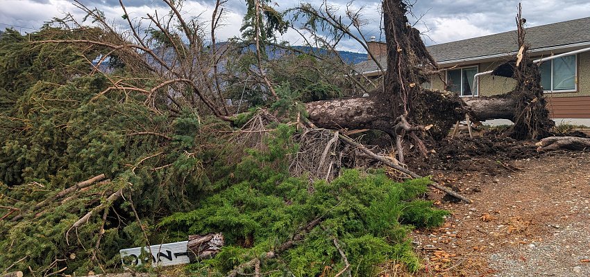 PHOTOS: Osoyoos and area besieged by crushing Wednesday windstorm